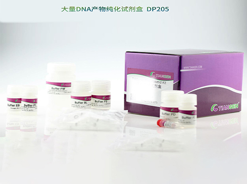 DNA纯化试剂盒-DP205