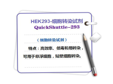 QuickShuttle-293 <i style='color:red'>hek293</i>-细胞转染试剂