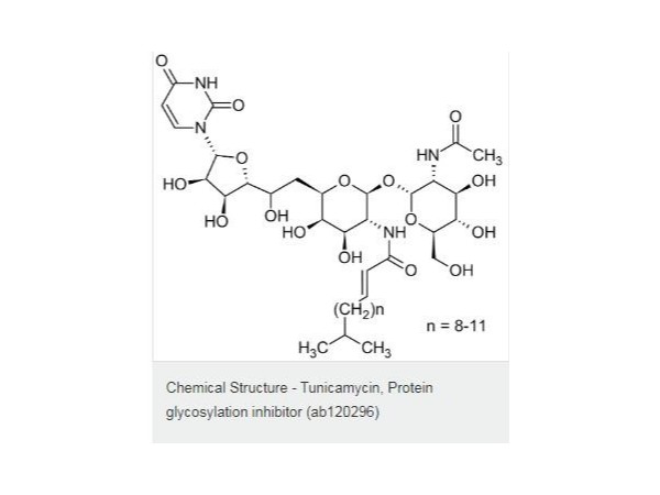 Tunicamycin-糖基化蛋白抑制剂-蛋白酶体抑制剂-ab120296