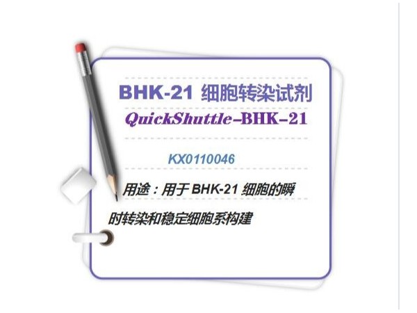 QuickShuttle-BHK-21 细胞转染试剂