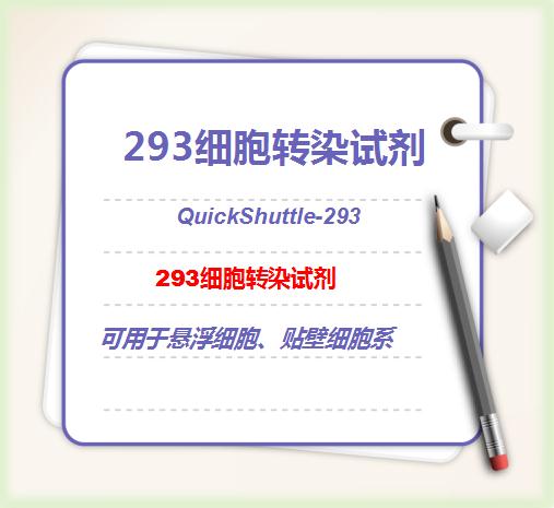 QuickShuttle-293 HEK293-细胞转染试剂