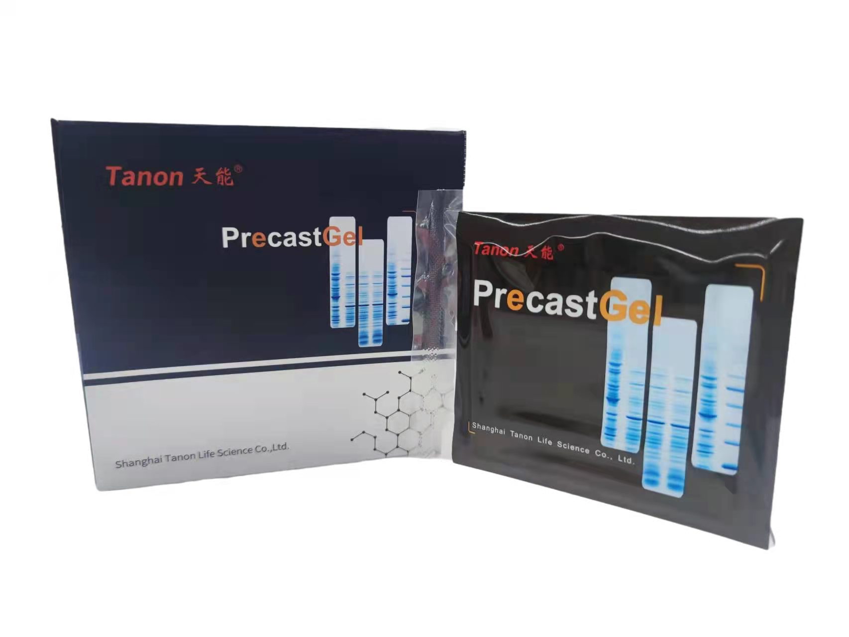 Tanon电泳Precast Gel天能SDS预制胶-Western blot
